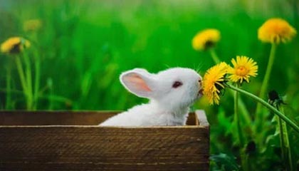 开云登录网址入口-赛后采访Tarzan Kael：尽可能打到决赛，一步一个脚印走上去